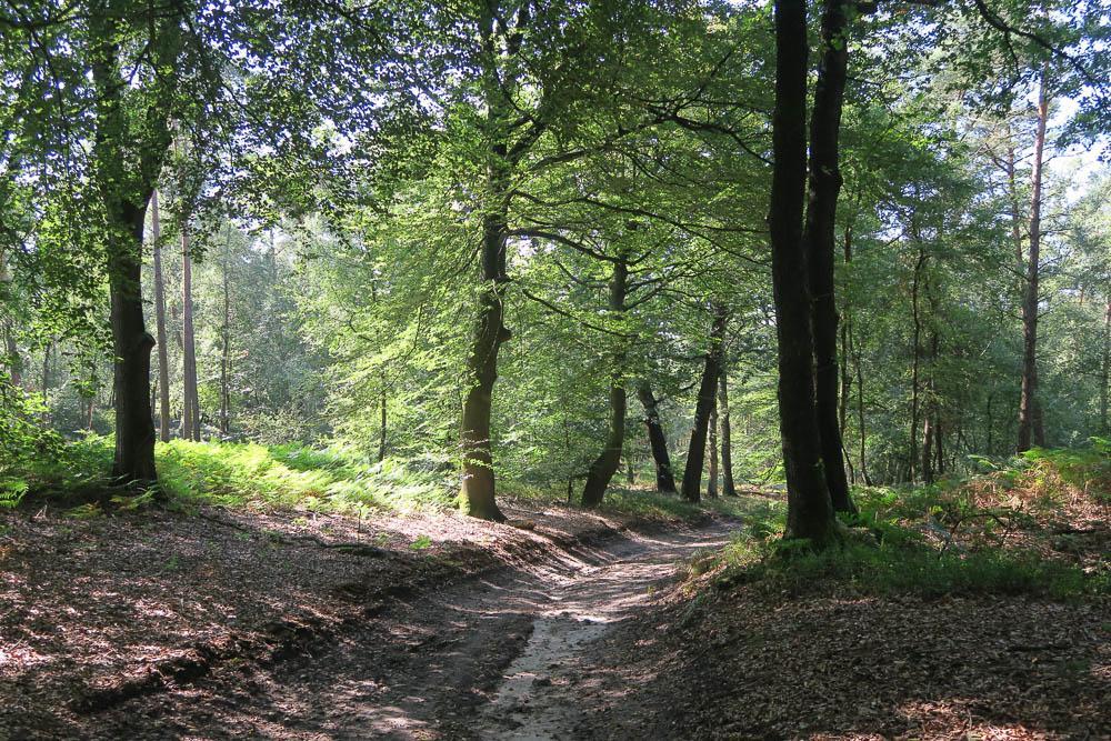 Het Kleine Landgoed Villa Haarle Екстериор снимка