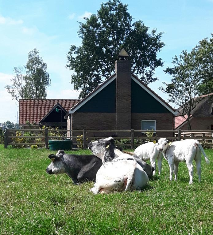 Het Kleine Landgoed Villa Haarle Екстериор снимка
